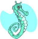 seahorse