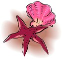 starfish