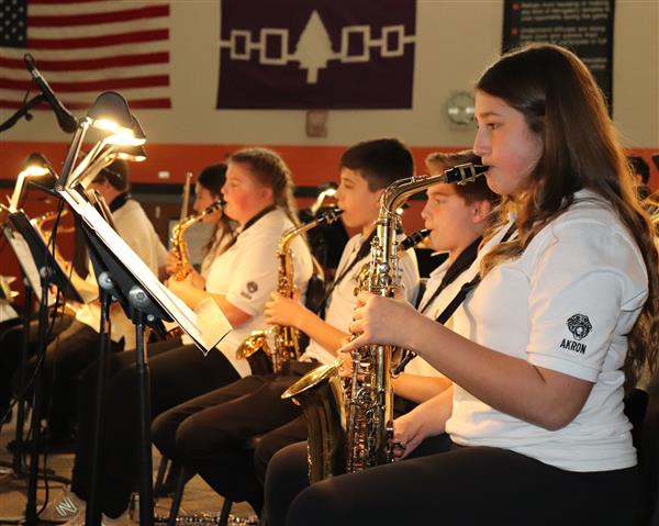 Saxophone section