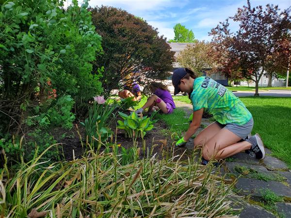Students weeding and edging