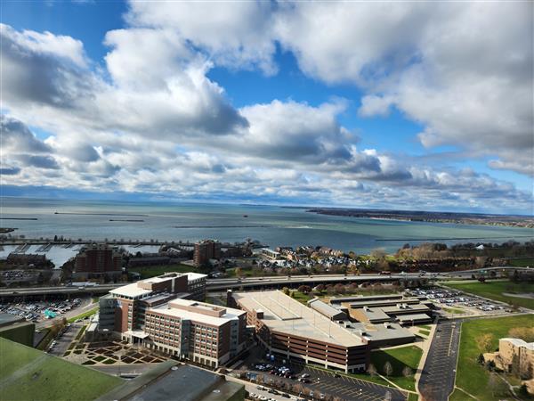 A view from City Hall