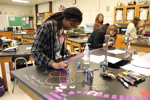 AP Biology students are learning about DNA and the replication process of DNA. They are working in groups to complete a model of the process and will follow up with presentations to walk through the process using their models.