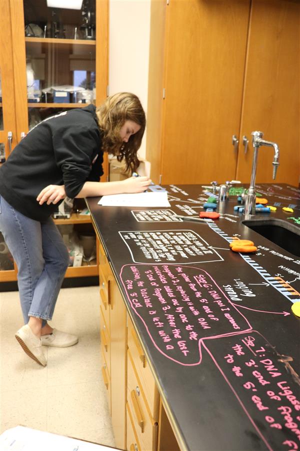 AP Biology students are learning about DNA and the replication process of DNA. They are working in groups to complete a model of the process and will follow up with presentations to walk through the process using their models.