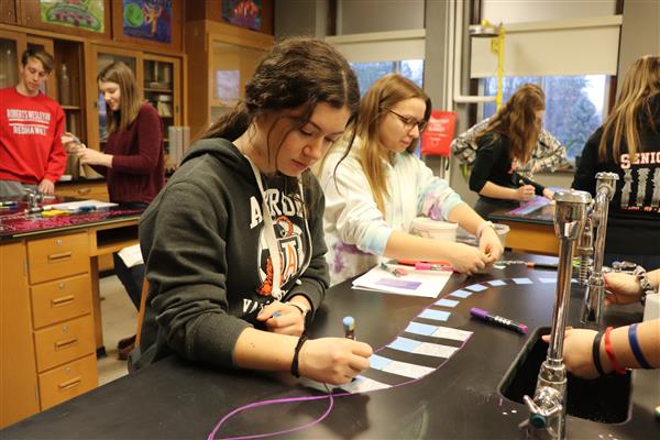 AP Biology students are learning about DNA and the replication process of DNA. They are working in groups to complete a model of the process and will follow up with presentations to walk through the process using their models.
