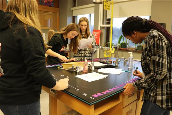 AP Biology students are learning about DNA and the replication process of DNA. They are working in groups to complete a model of the process and will follow up with presentations to walk through the process using their models.
