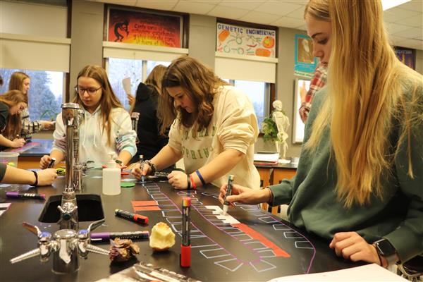 AP Biology students are learning about DNA and the replication process of DNA. They are working in groups to complete a model of the process and will follow up with presentations to walk through the process using their models.