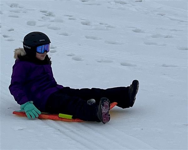 single sledder
