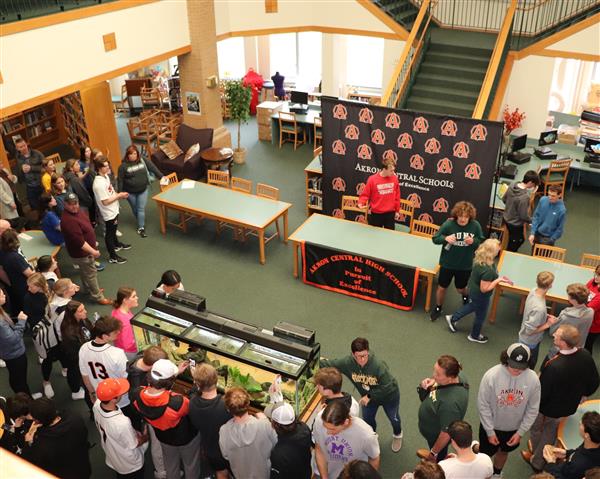 A view from the mezzanine