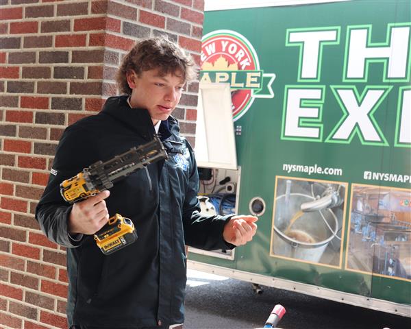Power drill used to tap trees today