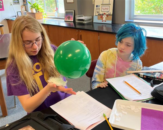 Students seeing static electricity