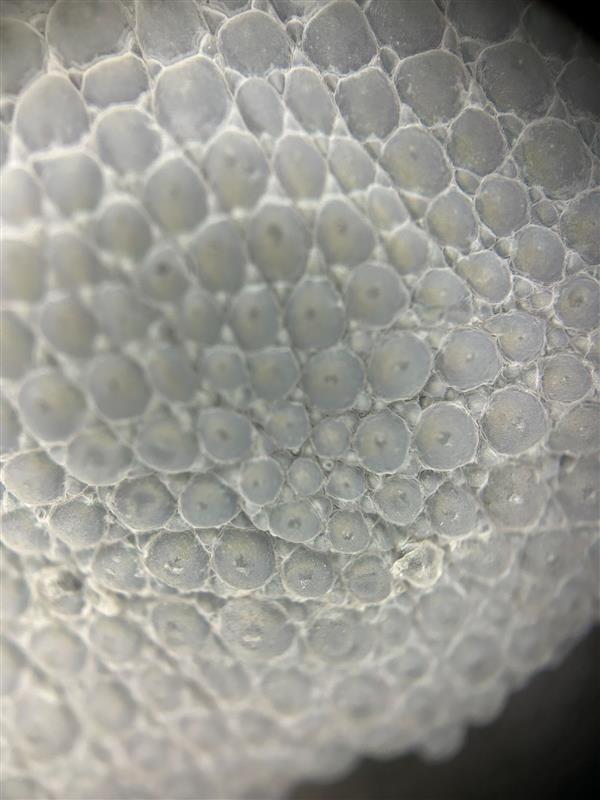 What is it?