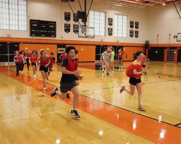 Long Ball - a combination of baseball and dodgeball