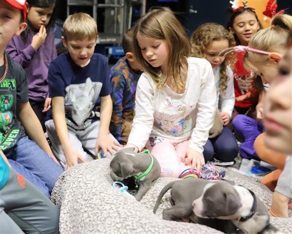 Students with puppies