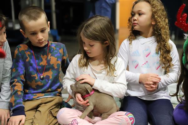 Students with puppies