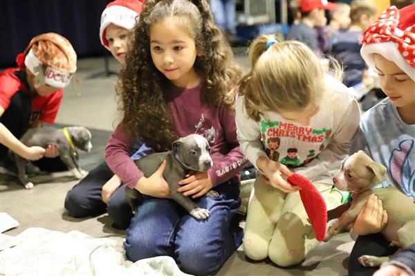 Students with puppies