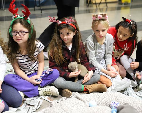 Students with puppies