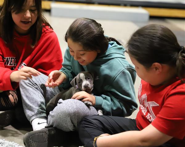 Students with puppies