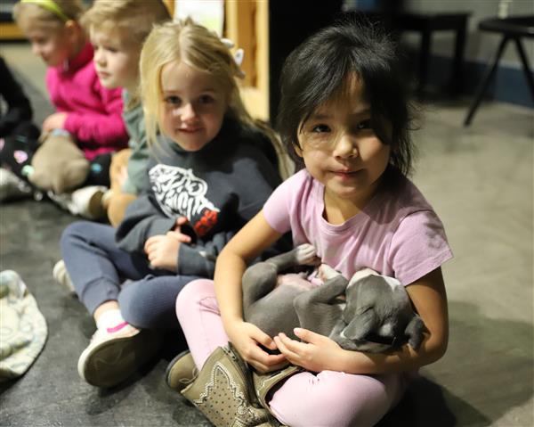Students with puppies